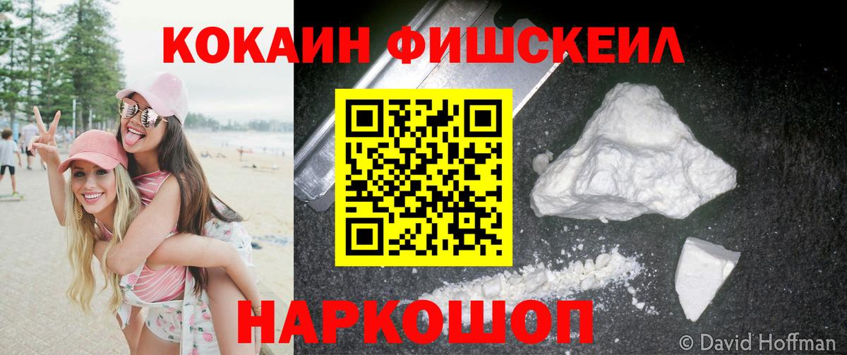Чернушка  что такое   Вход с VPN  COCAIN Fish Scale 