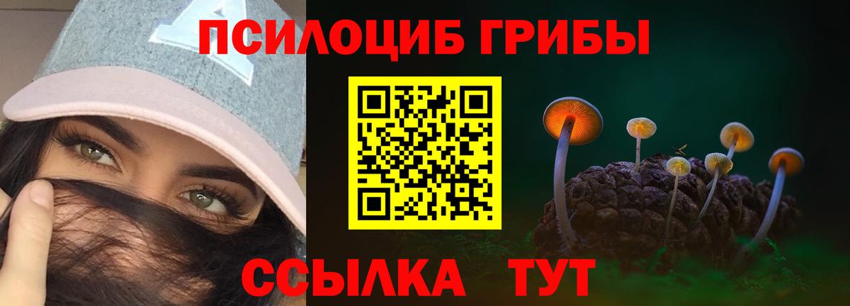 Галлюциногенные грибы Magic Shrooms Чернушка