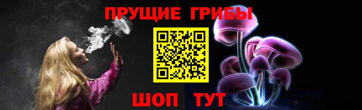 Галлюциногенные грибы Psilocybe  Галлюциногенные грибы Cubensis  Чернушка  Вход с VPN 
