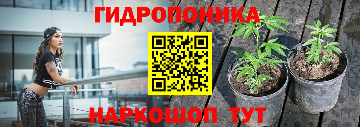 Канабис Amnesia  Вход с VPN  Бошки марихуана индика  Чернушка  Бошки Шишки планчик 